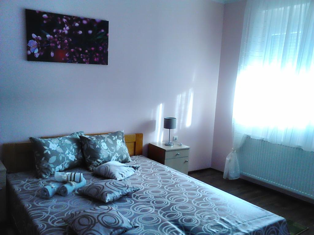 B&B Zmajevo Gnezdo 021 Sremska Kamenica Esterno foto