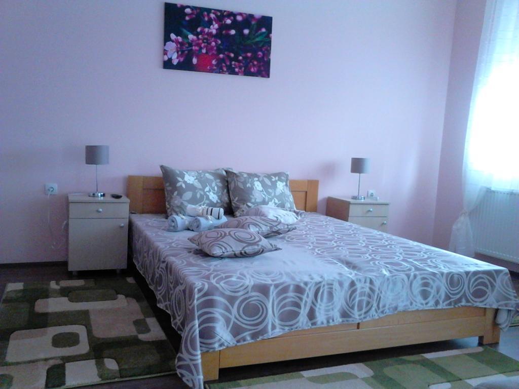 B&B Zmajevo Gnezdo 021 Sremska Kamenica Esterno foto