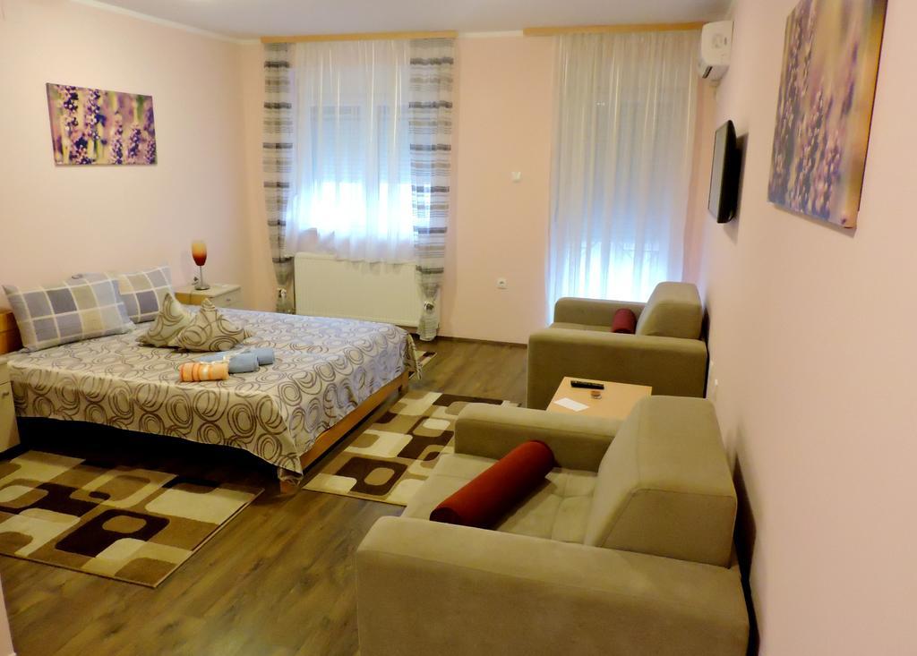 B&B Zmajevo Gnezdo 021 Sremska Kamenica Esterno foto